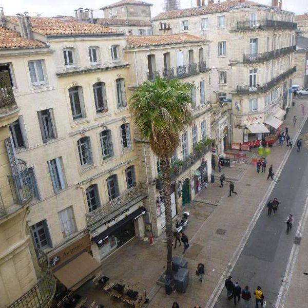 Location appartement 2 pièces 36.34 m² à Montpellier (34000) - Photo 1