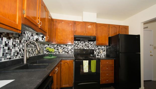 50 Barkton Lane - Photo 1