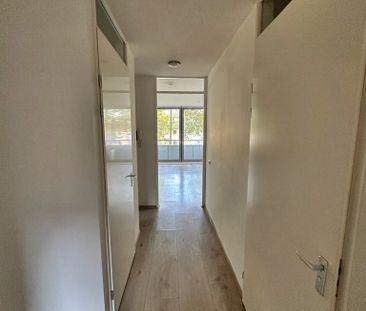 Beschrijving Schapenkamp - Photo 3