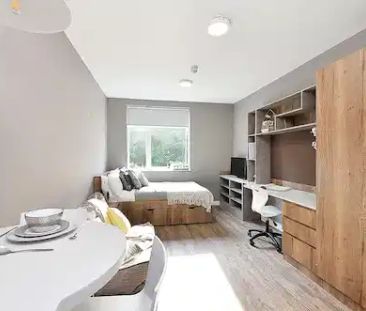 Classic Studio - Photo 4