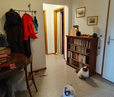 2.5 room apartment - Photo 2