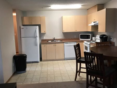 Hammer Condo Furnished - Photo 4