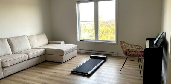 4 et demi quasi neuf à louer à Sainte-Agathe-des-Monts - Photo 2