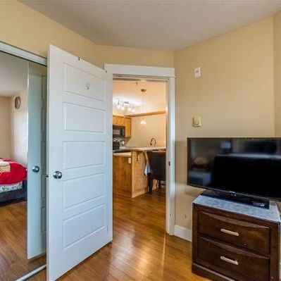 1 Bedroom+ Den Prime location - Photo 4