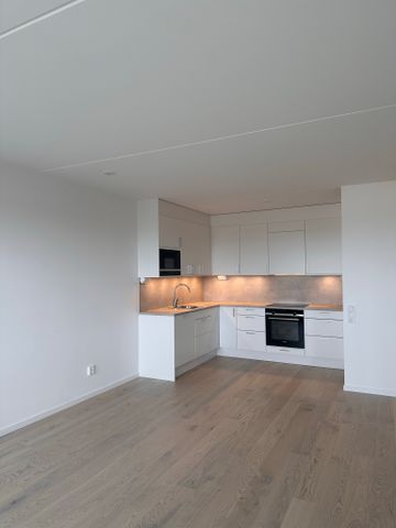 Blåsebergavägen, Limhamn - Photo 2