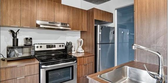 Condo Style Loft 1 chambre a coucher Griffintown 1085 Smith, Montreal gym, pool, spa, appliances, piscine, electros - Photo 2