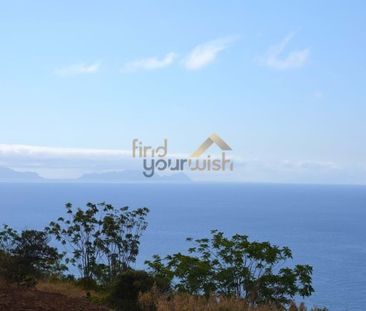 Apartamento T2 em Ilha da Madeira - Photo 5