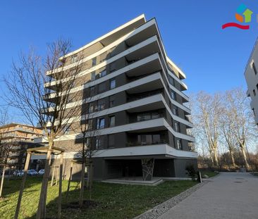 Location Appartement 2 pièces 43m² ILLKIRCH GRAFFENSTADEN 67400 - Photo 4