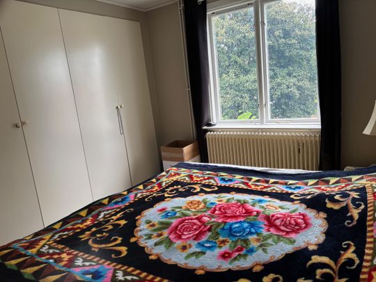 Munkågatan, Skara - Foto 1