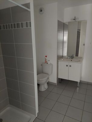 Location Appartement 2 pièces 43m² ST ALBAN 31140 - Photo 1