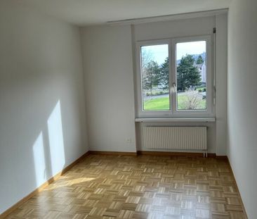 Die schönste Aussicht auf den wundervollen Bodensee. - Photo 3