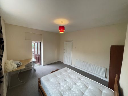 Room in a Shared House, Blagden Street, S2 - Photo 4