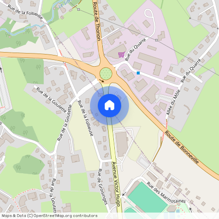 74800, La Roche-Sur-Foron