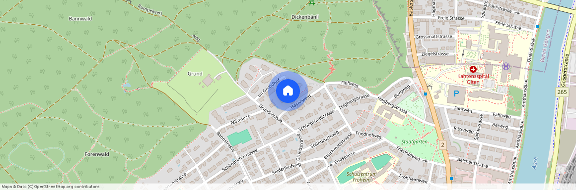 Hasenweid 10, 4600 Olten