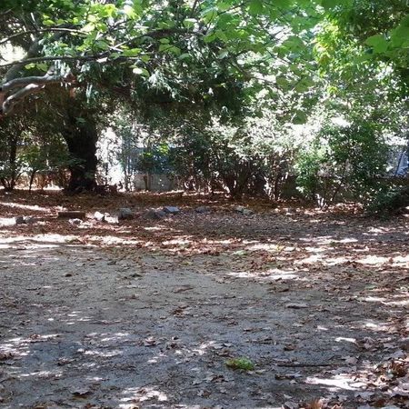 Chambre pour étudiant de septembre à juin - Photo 4