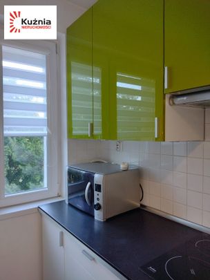 STEGNY - 1 POK. - Фото 1