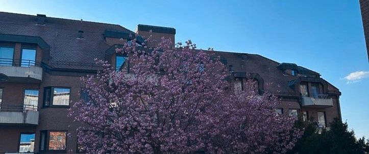 NACHMIETER GESUCHT STUDENTENAPPARTEMENT - Foto 1