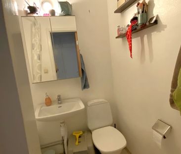 Avesta Näs Bruk: Etta i markplan - Photo 5