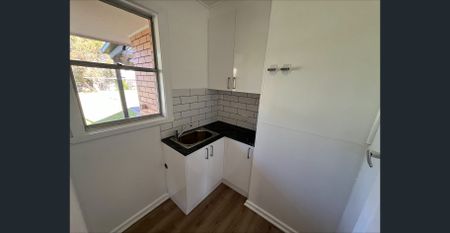 Outdoor Entertainer! - Photo 2