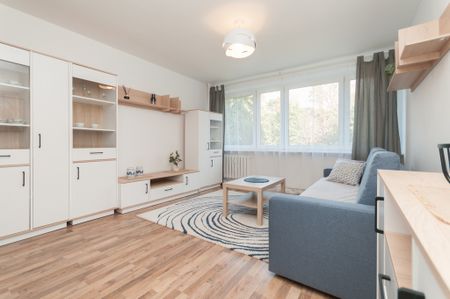 Mieszkanie Pomorzany Szczecin, 9 Maja, nr 427338 - Zdjęcie 4