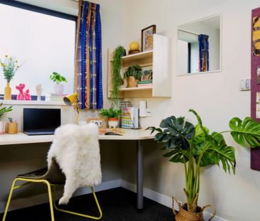 Large Studio - Photo 1