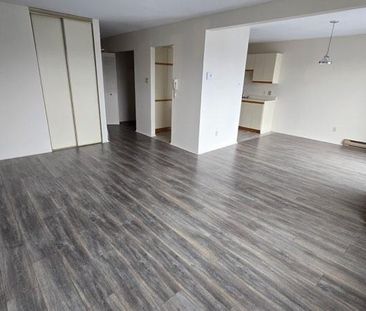 À louer 4 1/2 pour personnes 50 ans et plus St-Hyacinthe - appartem... - Photo 2