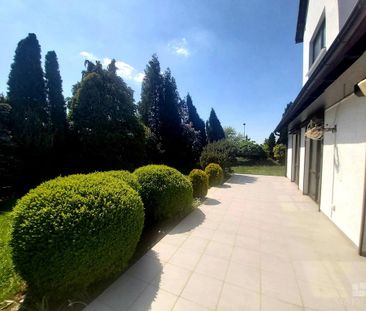 DOM na WYNAJEM - Photo 1