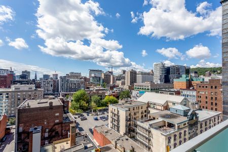 Appartement - 1201-1211 Rue Drummond - Photo 2