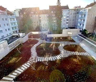 2½ Zimmer-Wohnung in Basel - Iselin, möbliert, auf Zeit - Foto 2