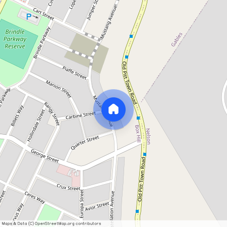 166 Mustang Avenue, NSW 2765, Box Hill