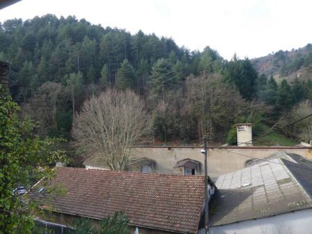 Location appartement 1 pièce 19.6 m² à Vals-les-Bains (07600) - Photo 2