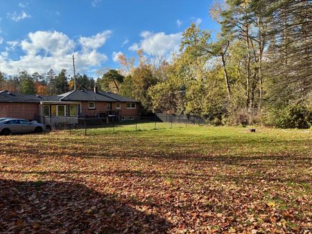 For Lease - 1207 Bayfield Street Unit# MAIN, Springwater, Ontario - Photo 5