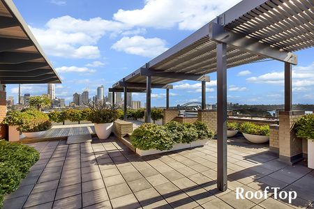 19/67-69 Macleay Street, Potts Point NSW 2011 - Apartment For Rent | Domain - Photo 2