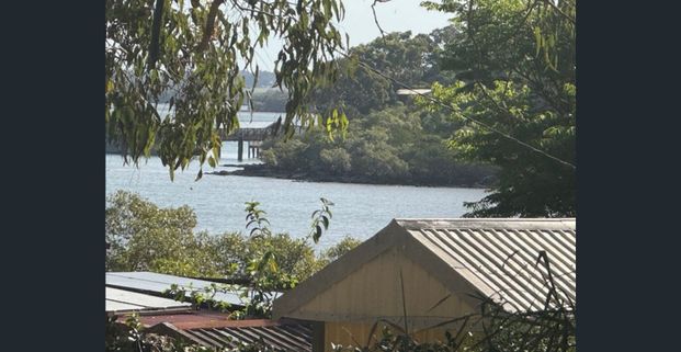 58 Pier Haven Street, Lamb Island, Qld 4184 - Photo 1
