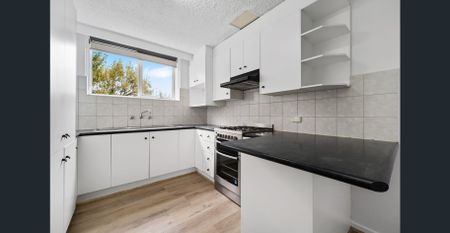 Large & Quietly Located - Photo 3