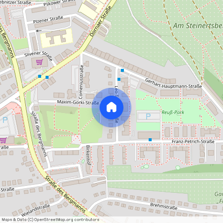 Leo-Tolstoi-Straße 12, 07546 Gera