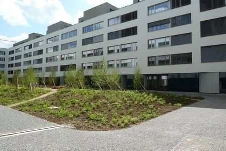 4.5 Zimmer, 127 m², 2. Stock - Foto 3