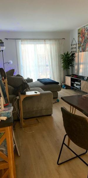 3 ½ LIBRE À PARTIR DU 1ER FÉVRIER - Photo 1