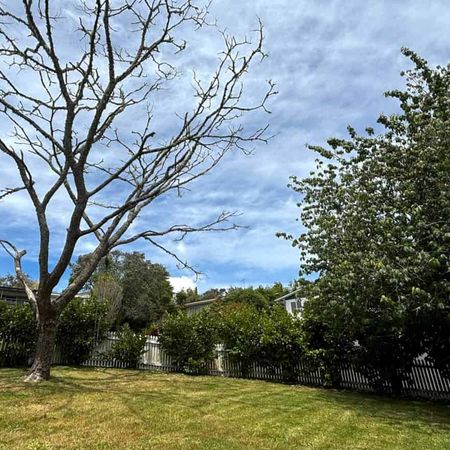 Heart of Kamo - Photo 3