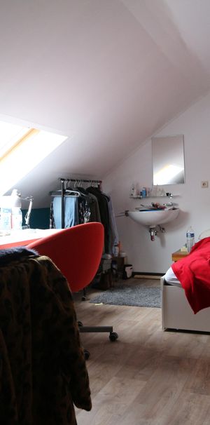 kamer 5 - Merelstraat 55 - Photo 2
