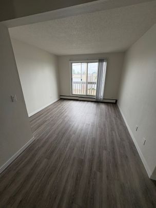 Nordic Apartments – 1 Bedroom *HEAT/HOT WATER/FREE LAUNDRY INCLUDED!!* - Photo 1