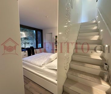 2.5 Zimmer - Photo 2