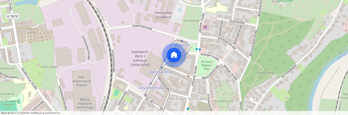 Haydnstraße 1, 08525, Plauen