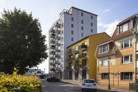 Norra Kullagatan 4 - Photo 4