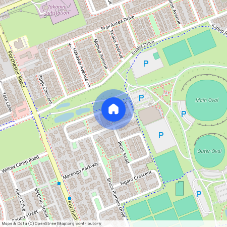 39 The Track, Takanini