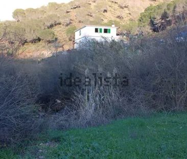Alquiler de casa o chalet independiente en Via Sin Nombre Los Guape... - Photo 1