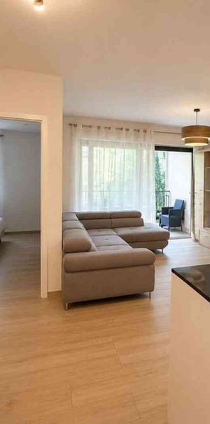 2.5 Zimmer, 39 m² - Photo 1
