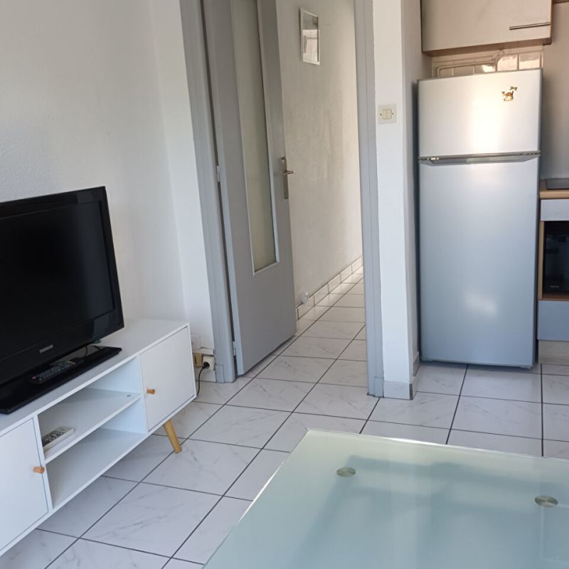 Appartement T2 meublé année dans quartier calme - Photo 1