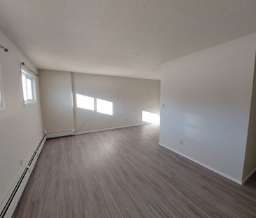 1 Bedroom Unit in Mature Area of Downtown! - Photo 3