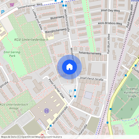 Windthorststraße 79, 65929, Frankfurt Am Main